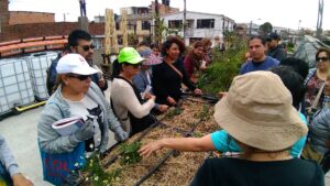 Read more about the article Aula Ambiental y huerta urbana comunitaria San Eusebio