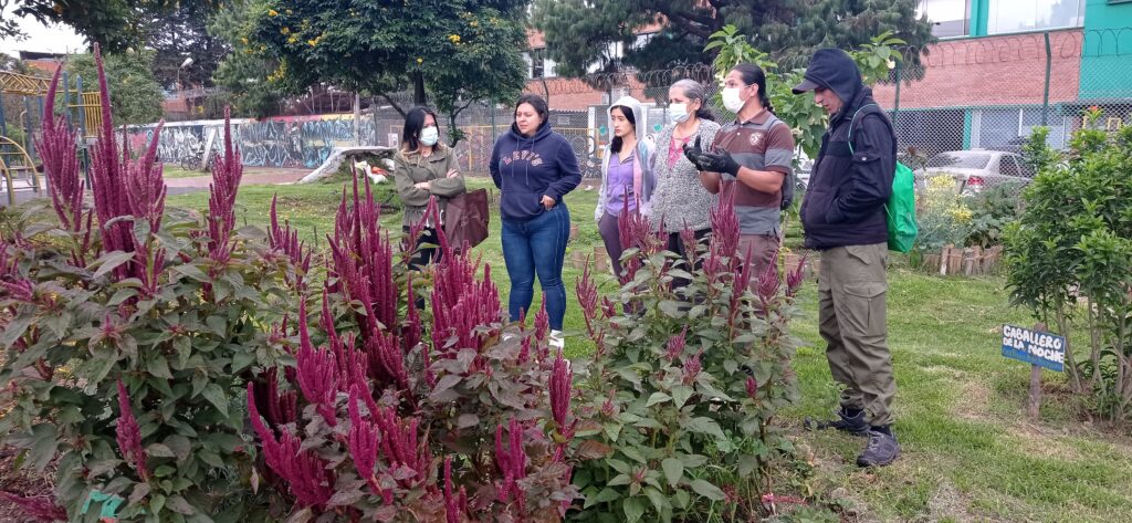 Huerta Agroecológica La Libélula